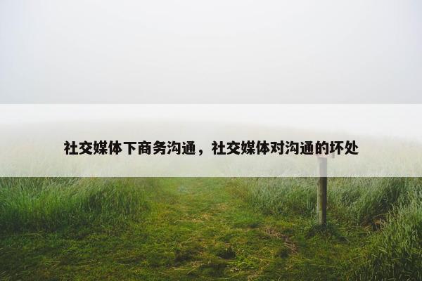 社交媒体下商务沟通，社交媒体对沟通的坏处