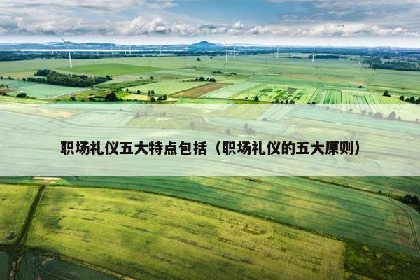 职场礼仪五大特点包括（职场礼仪的五大原则）