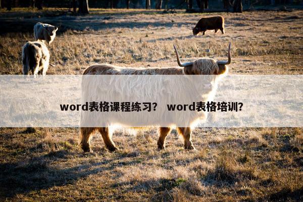 word表格课程练习？ word表格培训？