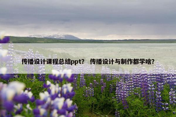 传播设计课程总结ppt？ 传播设计与制作都学啥？