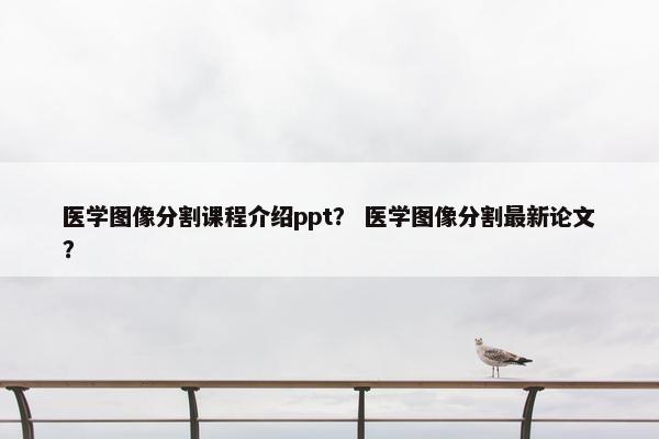 医学图像分割课程介绍ppt？ 医学图像分割最新论文？