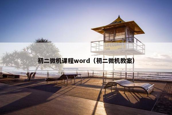 初二微机课程word（初二微机教案）