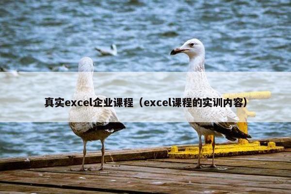 真实excel企业课程（excel课程的实训内容）