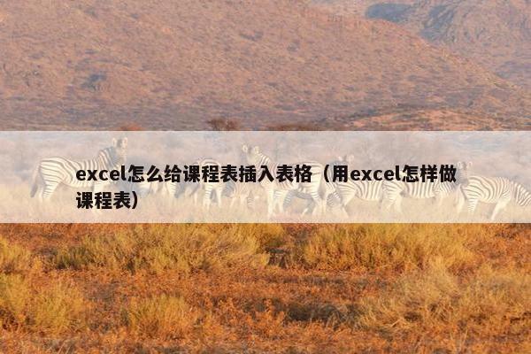 excel怎么给课程表插入表格（用excel怎样做课程表）