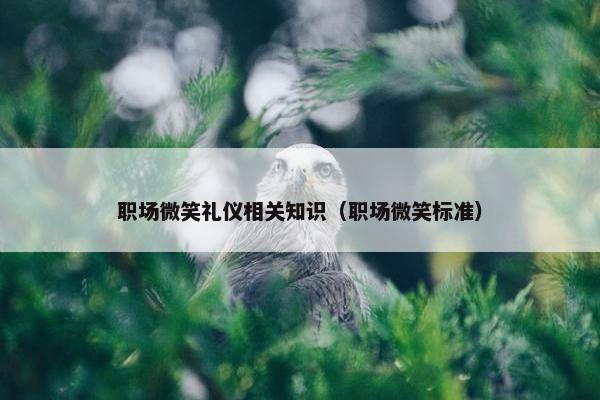 职场微笑礼仪相关知识（职场微笑标准）