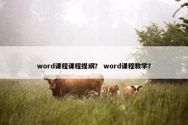 word课程课程提纲？ word课程教学？