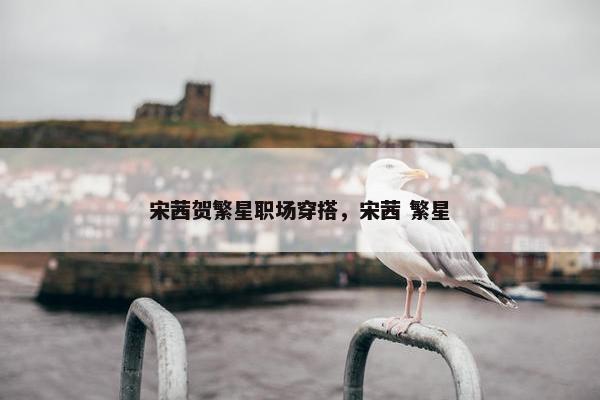 宋茜贺繁星职场穿搭，宋茜 繁星