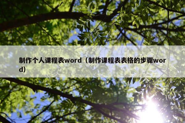 制作个人课程表word（制作课程表表格的步骤word）