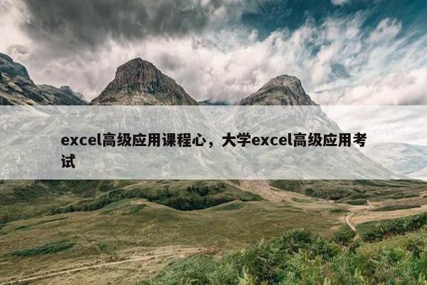 excel高级应用课程心，大学excel高级应用考试