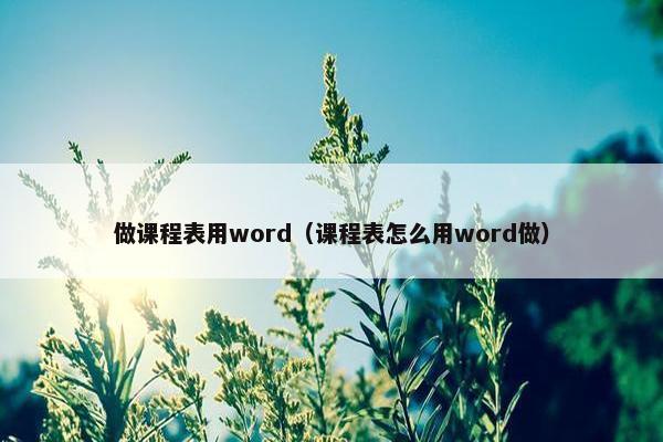 做课程表用word（课程表怎么用word做）