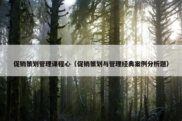 促销策划管理课程心（促销策划与管理经典案例分析题）