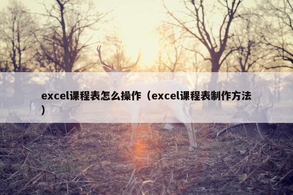 excel课程表怎么操作（excel课程表制作方法）