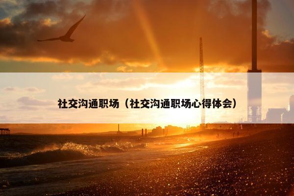 社交沟通职场（社交沟通职场心得体会）