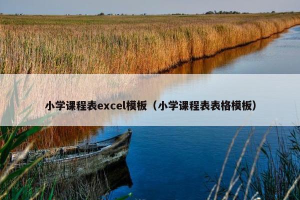 小学课程表excel模板（小学课程表表格模板）