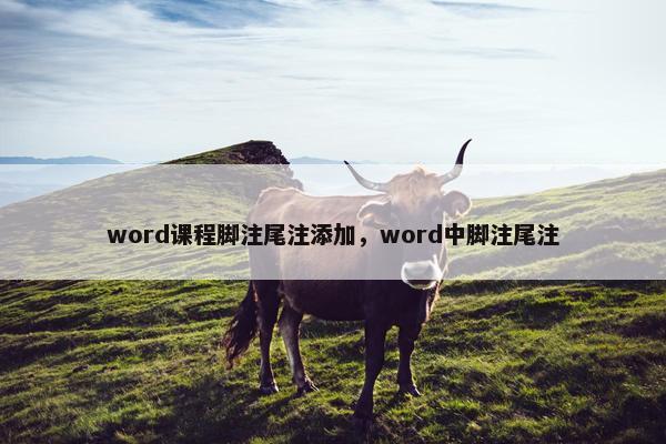 word课程脚注尾注添加，word中脚注尾注