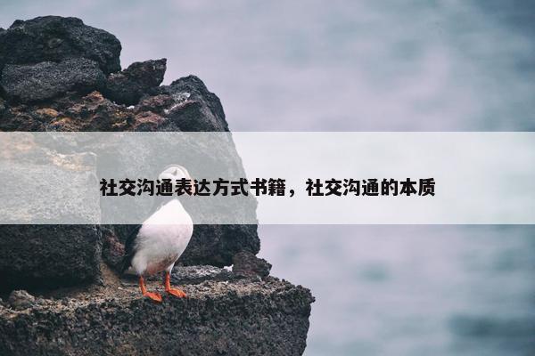 社交沟通表达方式书籍，社交沟通的本质
