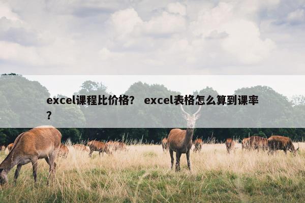 excel课程比价格？ excel表格怎么算到课率？