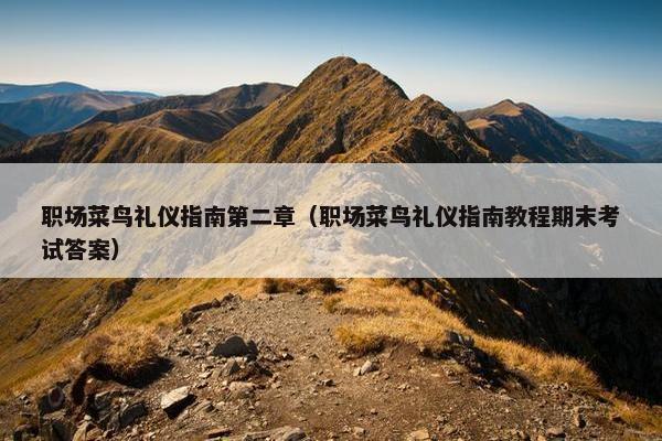 职场菜鸟礼仪指南第二章（职场菜鸟礼仪指南教程期末考试答案）