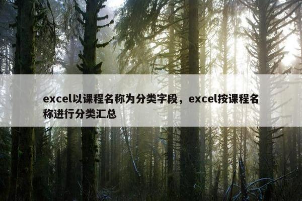 excel以课程名称为分类字段，excel按课程名称进行分类汇总