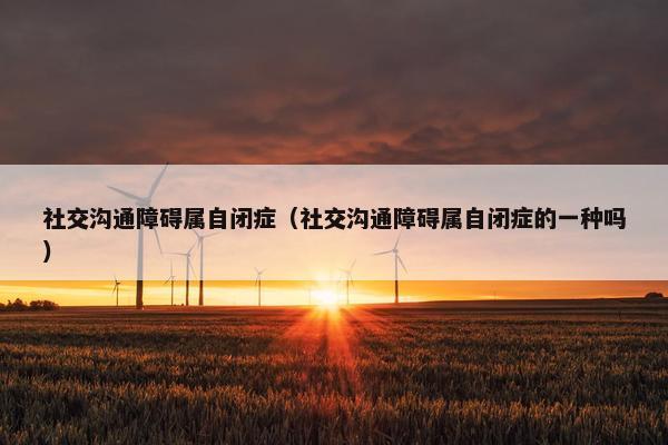 社交沟通障碍属自闭症（社交沟通障碍属自闭症的一种吗）