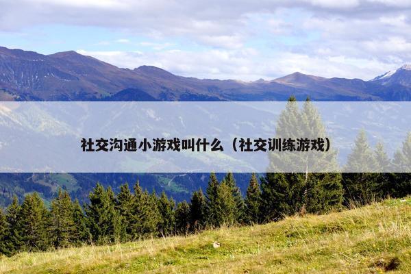 社交沟通小游戏叫什么（社交训练游戏）