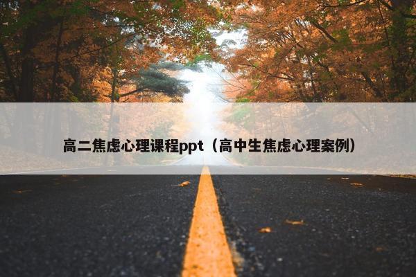 高二焦虑心理课程ppt（高中生焦虑心理案例）