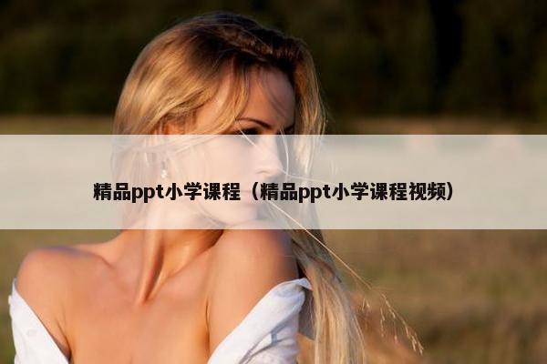 精品ppt小学课程（精品ppt小学课程视频）