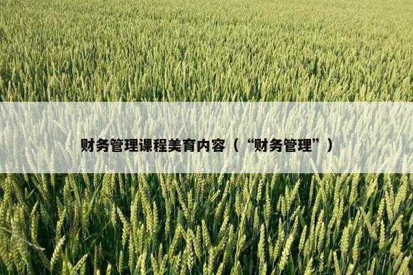 财务管理课程美育内容（“财务管理”）