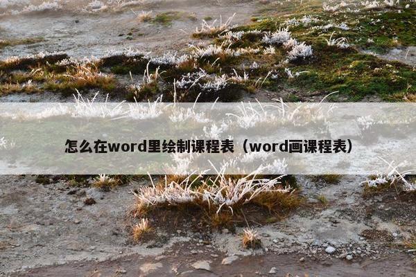 怎么在word里绘制课程表（word画课程表）