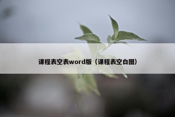 课程表空表word版（课程表空白图）