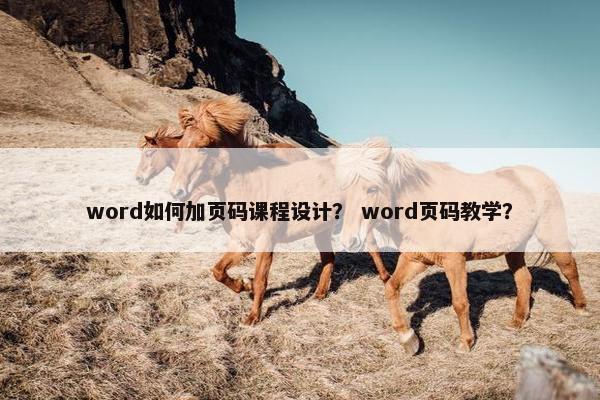 word如何加页码课程设计？ word页码教学？