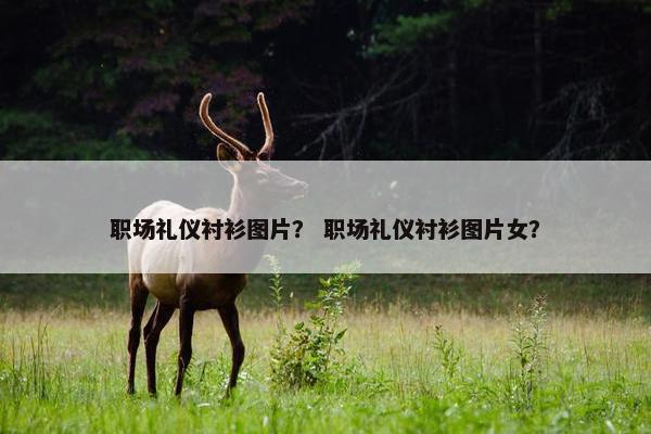 职场礼仪衬衫图片？ 职场礼仪衬衫图片女？