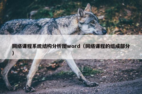 网络课程系统结构分析图word（网络课程的组成部分）
