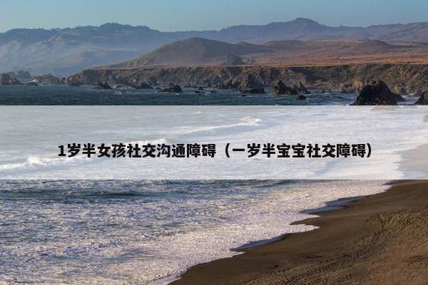 1岁半女孩社交沟通障碍（一岁半宝宝社交障碍）