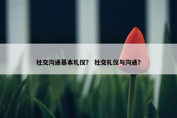 社交沟通基本礼仪？ 社交礼仪与沟通？