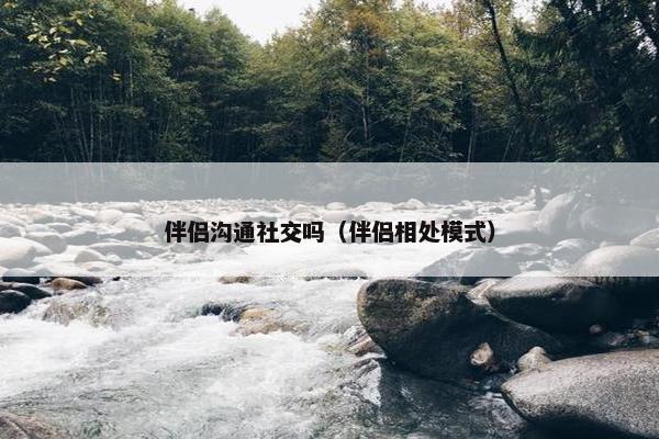 伴侣沟通社交吗（伴侣相处模式）
