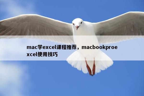 mac学excel课程推荐，macbookproexcel使用技巧