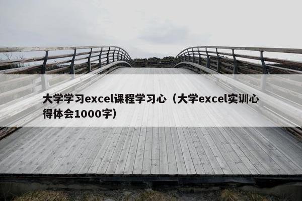 大学学习excel课程学习心（大学excel实训心得体会1000字）
