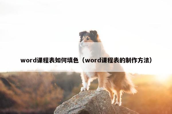 word课程表如何填色（word课程表的制作方法）