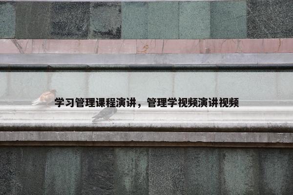 学习管理课程演讲，管理学视频演讲视频