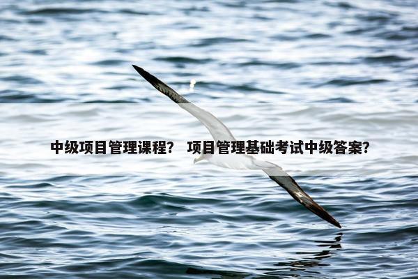 中级项目管理课程？ 项目管理基础考试中级答案？