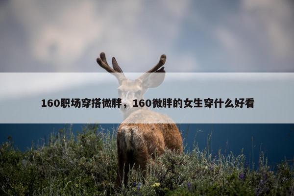 160职场穿搭微胖，160微胖的女生穿什么好看