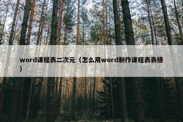 word课程表二次元（怎么用word制作课程表表格）