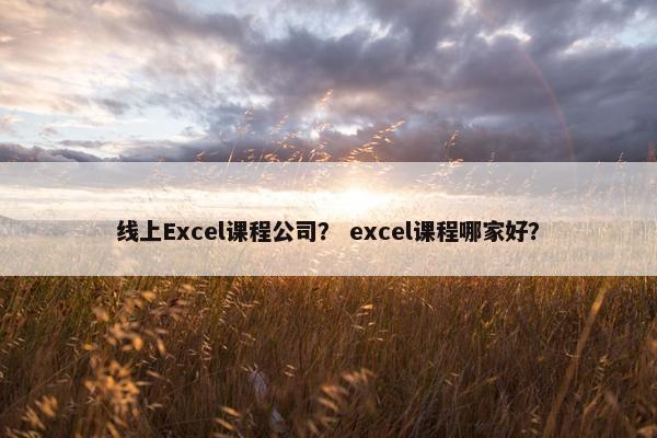 线上Excel课程公司？ excel课程哪家好？