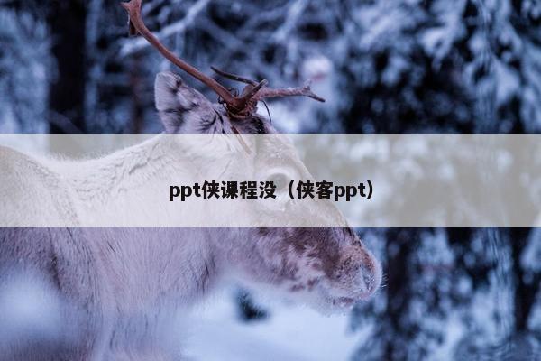 ppt侠课程没（侠客ppt）