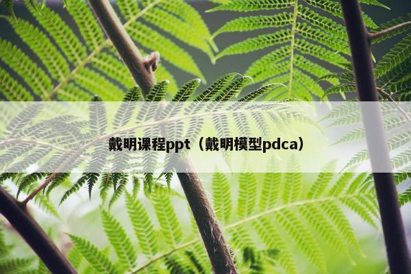 戴明课程ppt（戴明模型pdca）