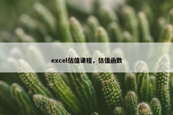excel估值课程，估值函数