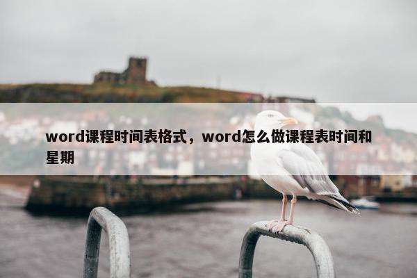 word课程时间表格式，word怎么做课程表时间和星期