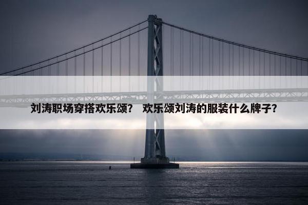 刘涛职场穿搭欢乐颂？ 欢乐颂刘涛的服装什么牌子？