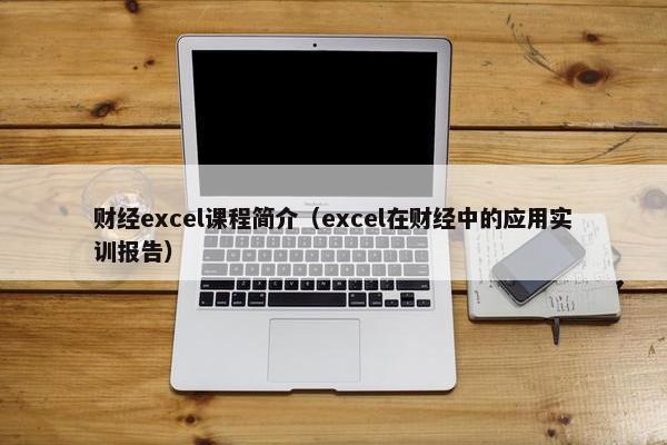财经excel课程简介（excel在财经中的应用实训报告）